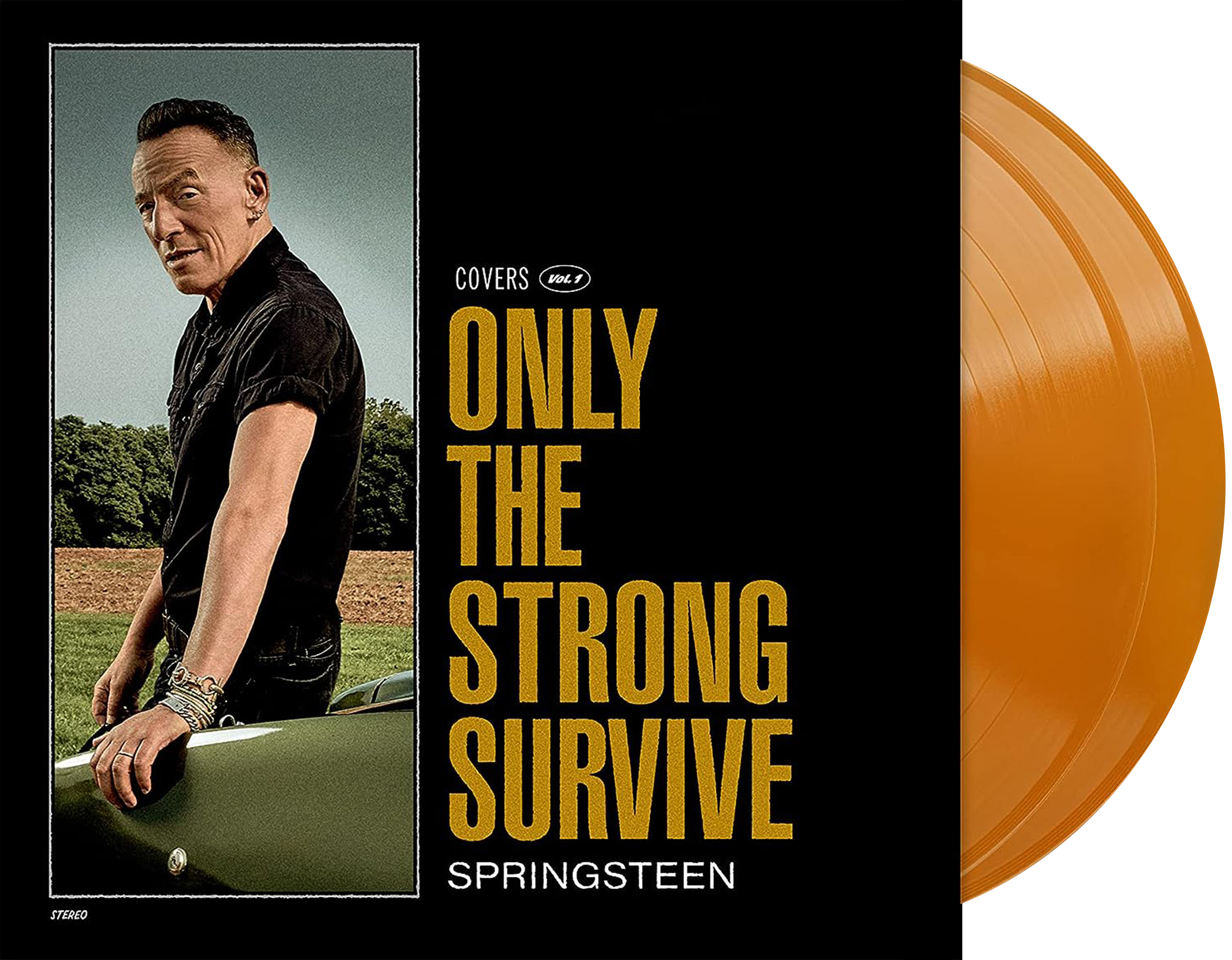 Image of Artwork for Bruce Springsteen's Only the Strong Survive (Orange 2LP)